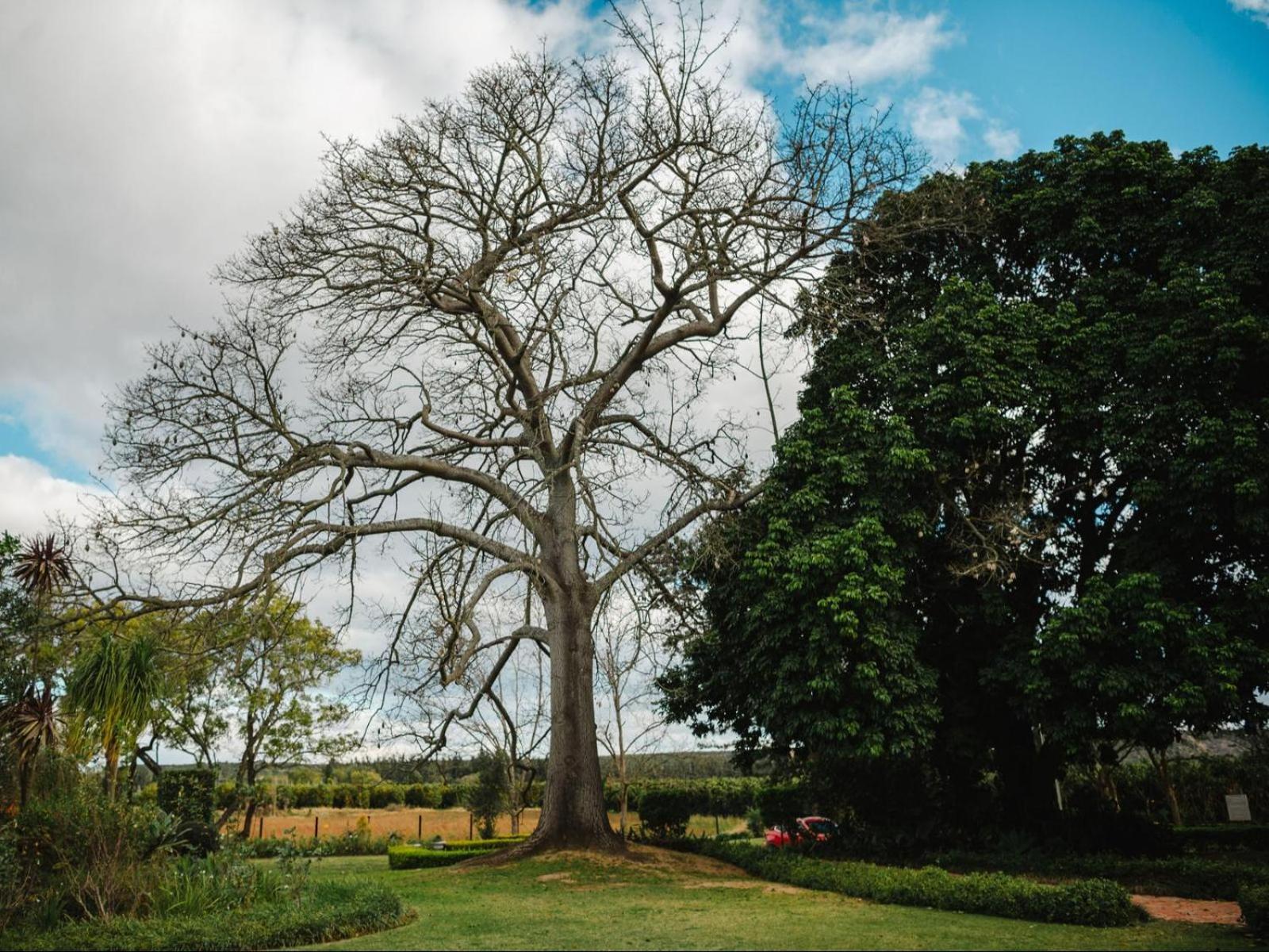 Hopefield Guesthouse-Addo Luaran gambar